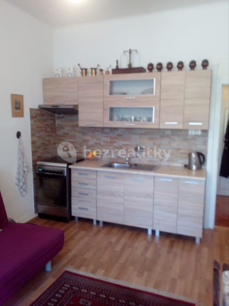 1 bedroom with open-plan kitchen flat to rent, 50 m², Hradeckých, Prague, Prague