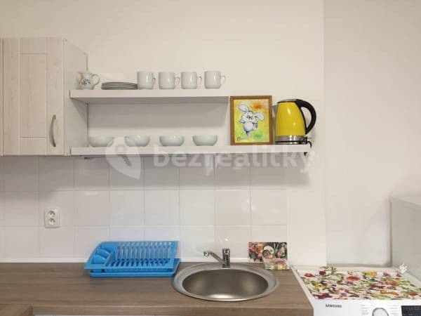 1 bedroom with open-plan kitchen flat to rent, 58 m², Ruská, Teplice, Ústecký Region