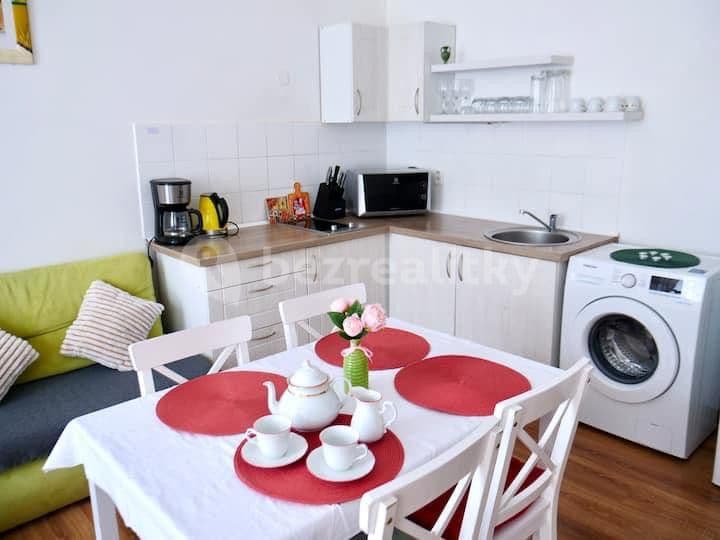 flat to rent, 54 m², Ruská, Teplice, Ústecký Region