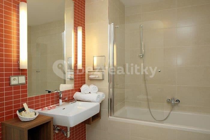 flat to rent, 52 m², U Borského parku, Plzeň, Plzeňský Region