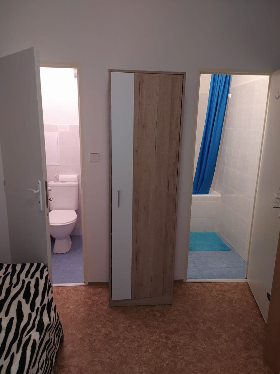 flat to rent, 80 m², Voskovcova, Prague, Prague