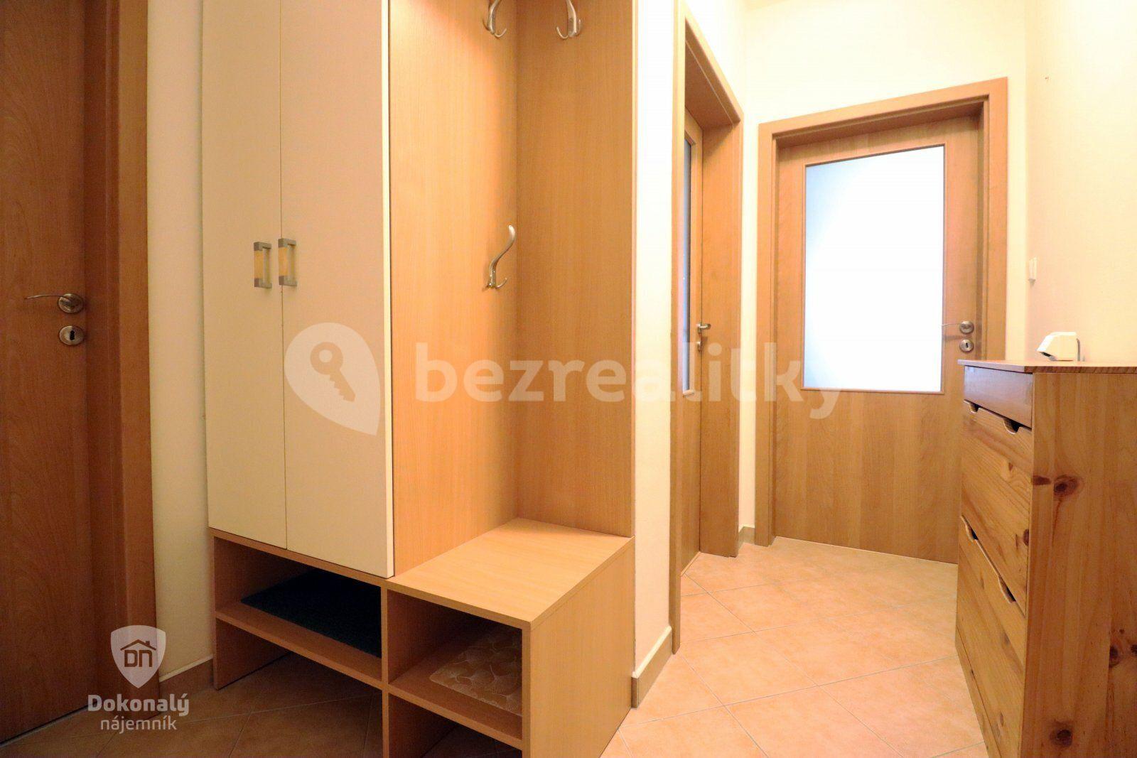1 bedroom with open-plan kitchen flat to rent, 45 m², Českodubská, Prague, Prague