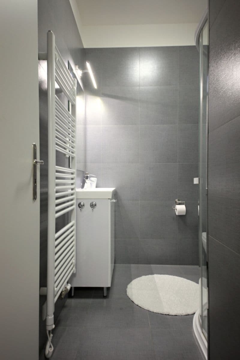 flat to rent, 56 m², Slovinská, Prague, Prague