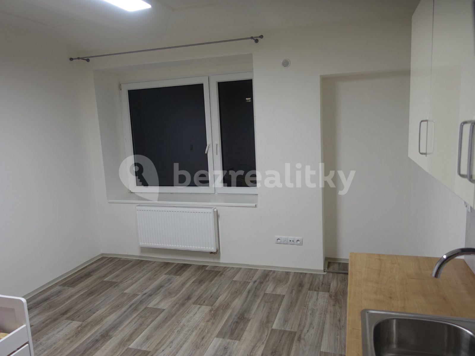 Studio flat to rent, 30 m², Revoluční, Hovorčovice, Středočeský Region