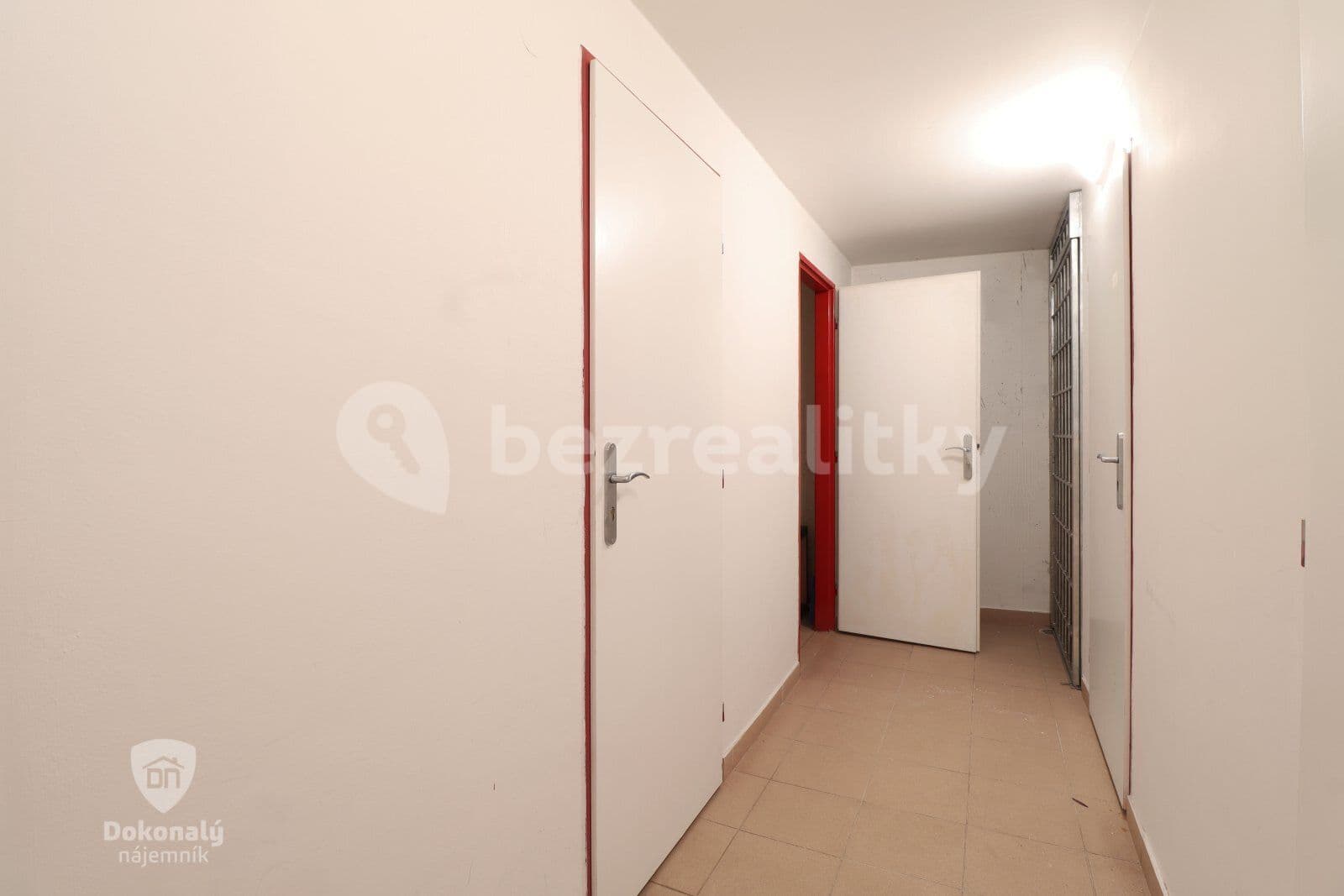 1 bedroom with open-plan kitchen flat to rent, 43 m², U michelského mlýna, Prague, Prague