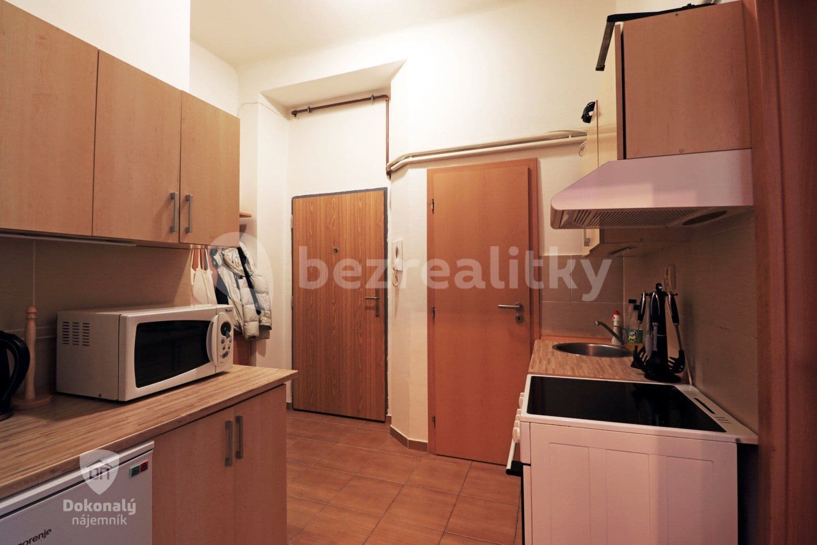 1 bedroom with open-plan kitchen flat to rent, 43 m², Stupkova, Prague, Prague