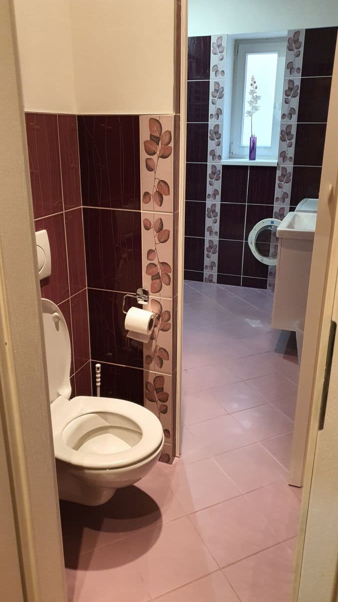 flat to rent, 45 m², Sportovní, Prague, Prague