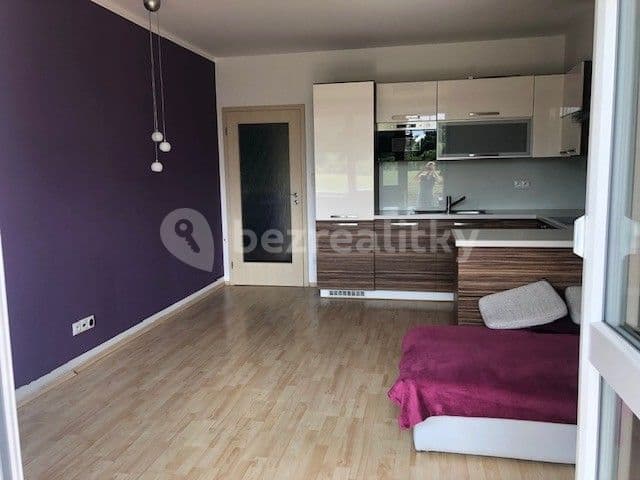 1 bedroom with open-plan kitchen flat to rent, 50 m², U Hostavického potoka, Prague, Prague