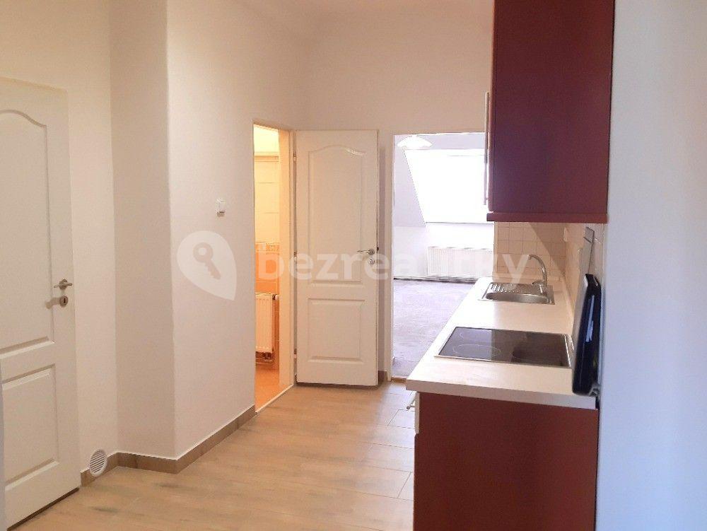 1 bedroom with open-plan kitchen flat to rent, 57 m², Za Poštou, Prague, Prague
