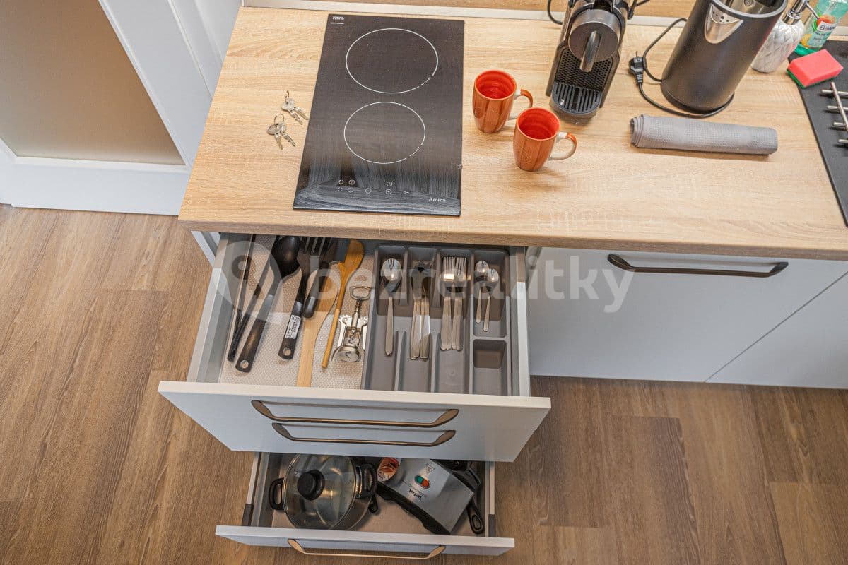 flat to rent, 35 m², Hlaváčkova, Prague, Prague