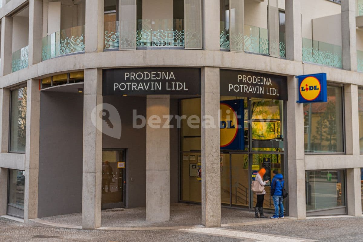 flat to rent, 35 m², Hlaváčkova, Prague, Prague