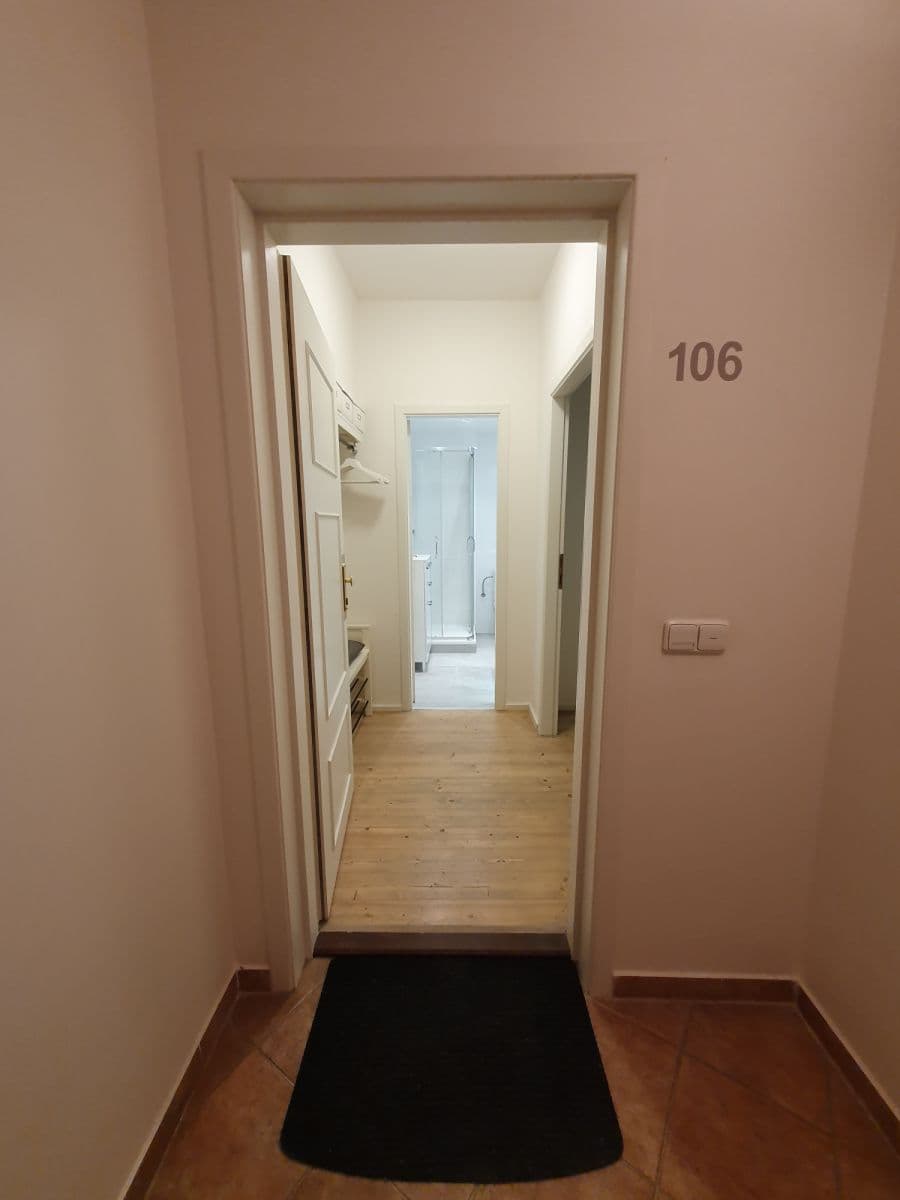 flat to rent, 23 m², U Pernikářky, Prague, Prague
