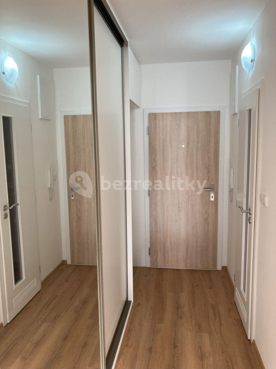 1 bedroom with open-plan kitchen flat to rent, 49 m², Kettnerova, Prague, Prague