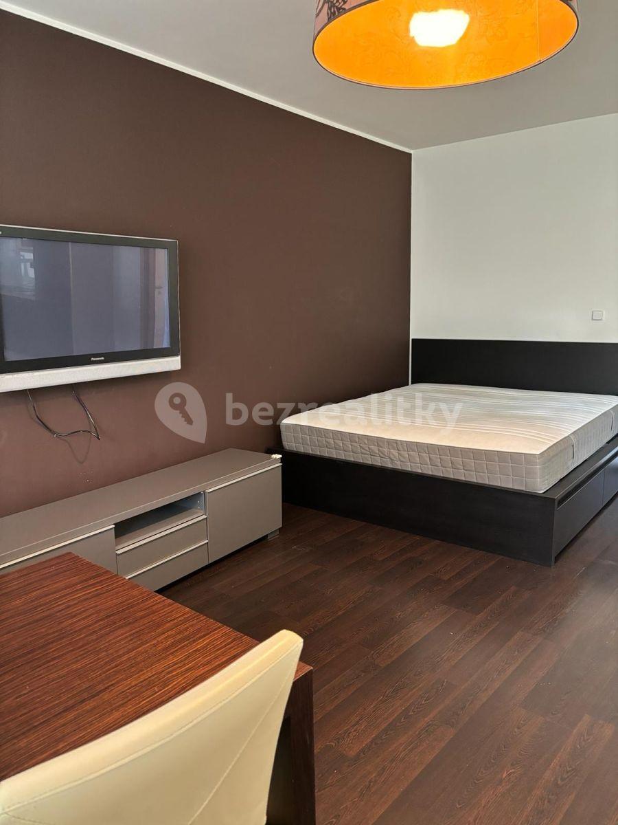 1 bedroom with open-plan kitchen flat to rent, 80 m², Záběhlická, Prague, Prague
