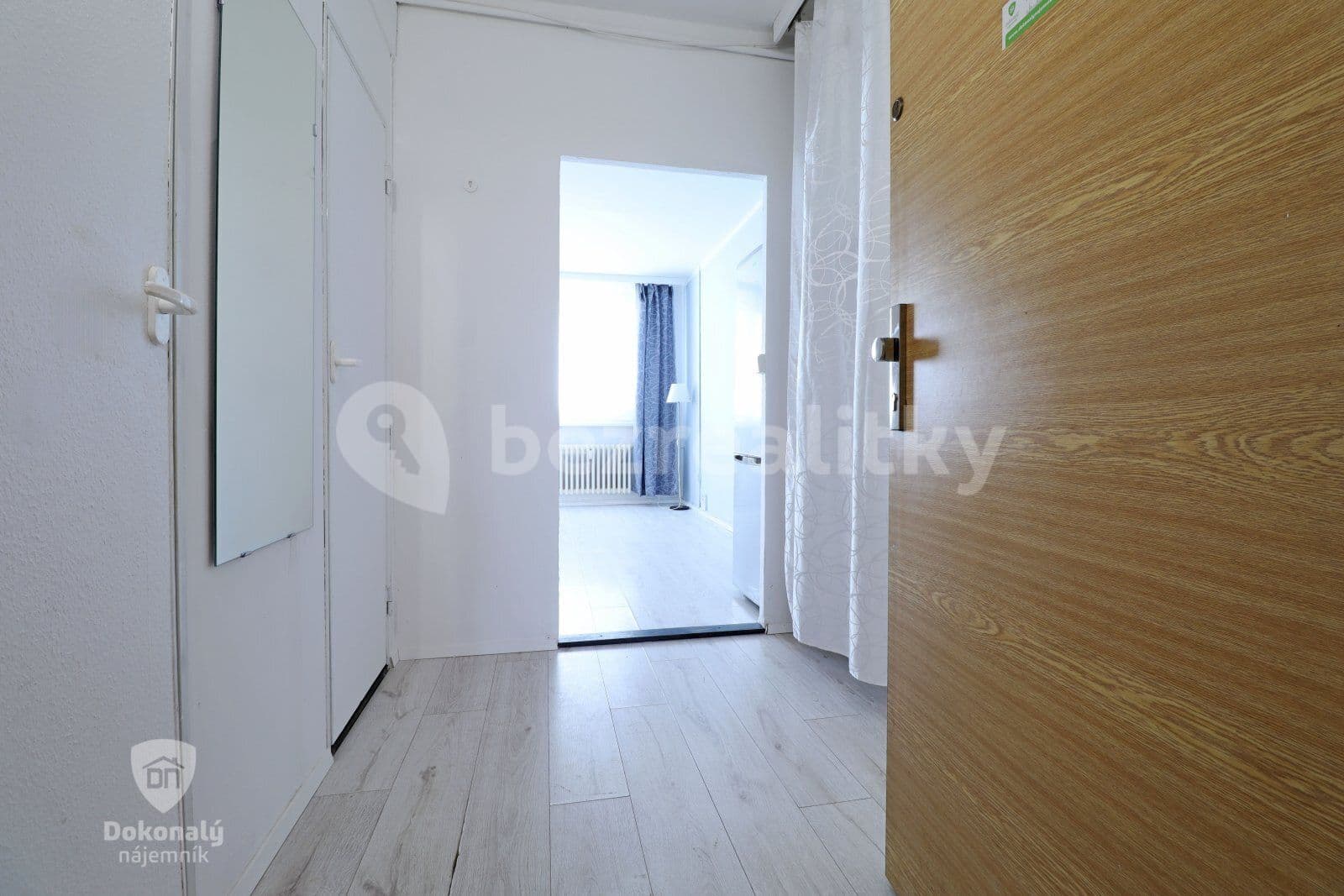 1 bedroom with open-plan kitchen flat to rent, 48 m², Gabinova, Prague, Prague