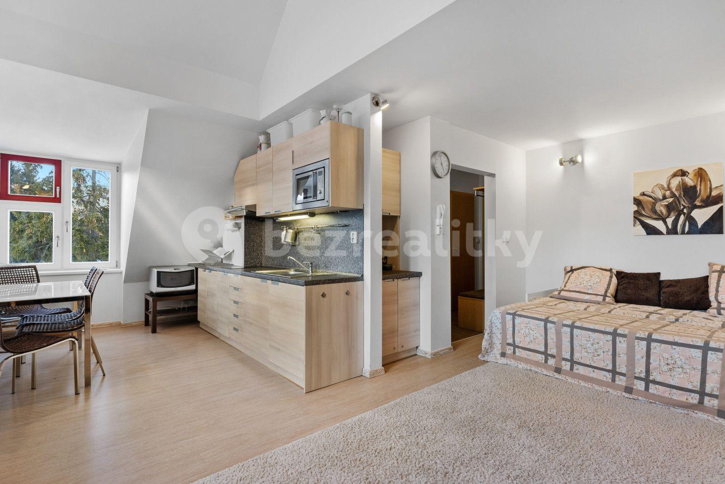 1 bedroom with open-plan kitchen flat for sale, 51 m², Harrachov, Liberecký Region