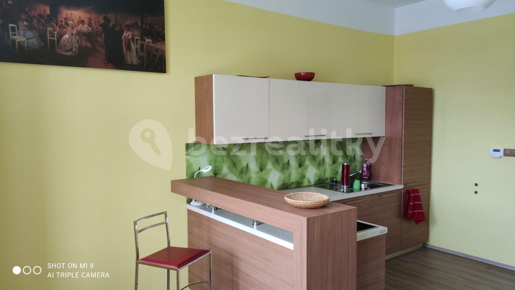 1 bedroom with open-plan kitchen flat to rent, 54 m², Mělnická, Mšeno, Středočeský Region