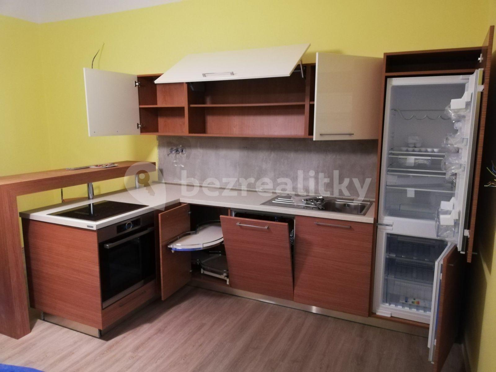 1 bedroom with open-plan kitchen flat to rent, 54 m², Mělnická, Mšeno, Středočeský Region