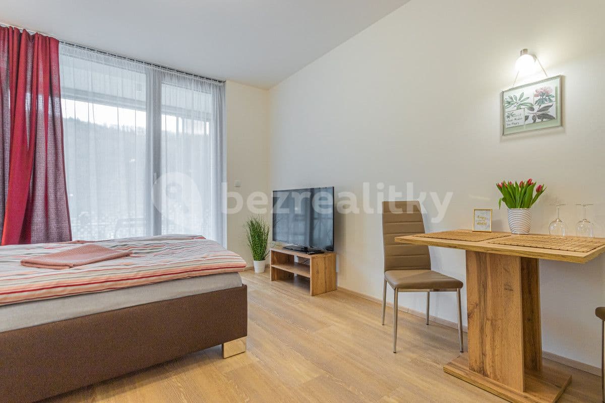 flat to rent, 35 m², Hlaváčkova, Prague, Prague