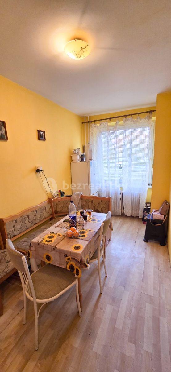 1 bedroom with open-plan kitchen flat for sale, 47 m², Gen. Kholla, Příbram, Středočeský Region