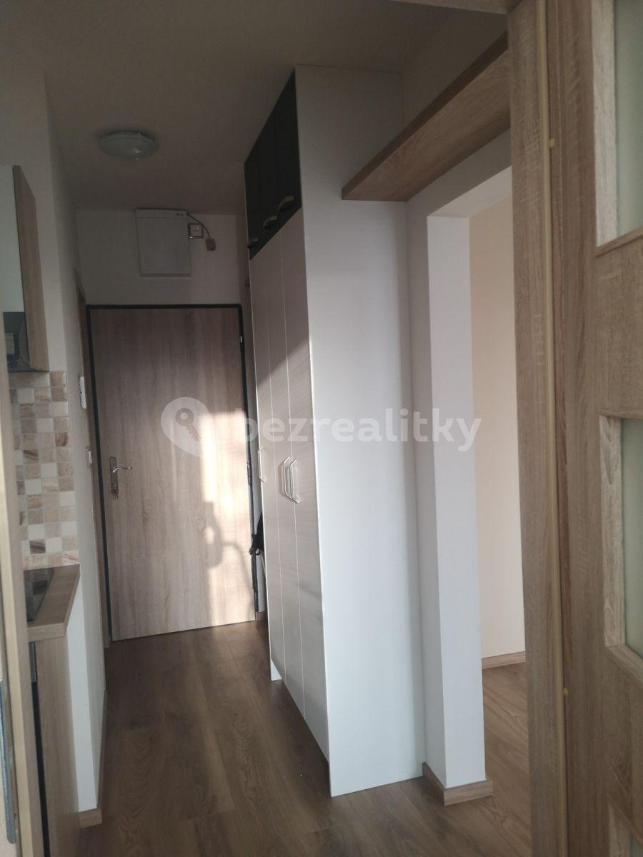 1 bedroom with open-plan kitchen flat to rent, 37 m², sídliště Vajgar, Jindřichův Hradec, Jihočeský Region
