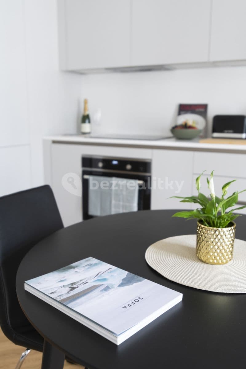 1 bedroom with open-plan kitchen flat to rent, 47 m², Bořivojova, Prague, Prague