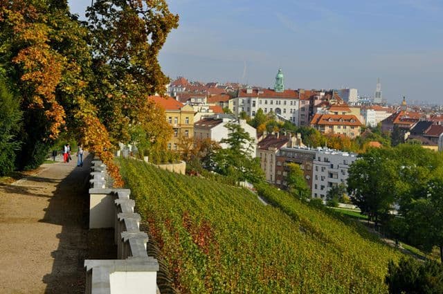 flat to rent, 60 m², Lublaňská, Prague, Prague