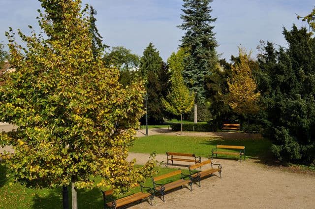 flat to rent, 60 m², Lublaňská, Prague, Prague
