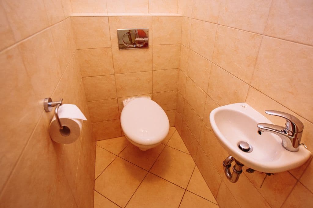 flat to rent, 60 m², Lublaňská, Prague, Prague