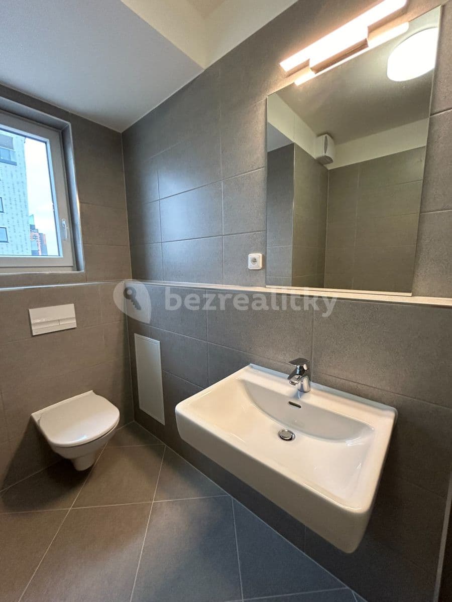 1 bedroom with open-plan kitchen flat to rent, 61 m², Pod Harfou, Prague, Prague