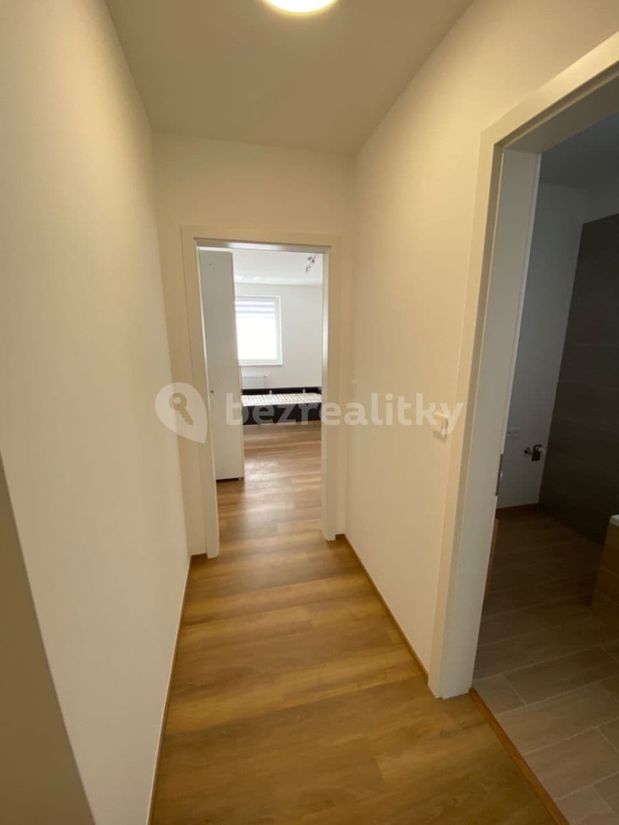 1 bedroom with open-plan kitchen flat to rent, 72 m², Prague, Prague