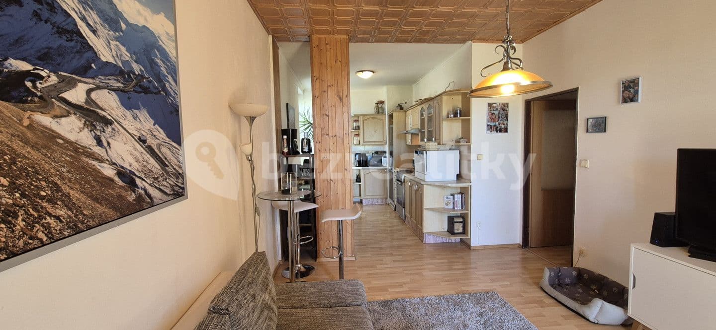 1 bedroom with open-plan kitchen flat for sale, 52 m², K Sídlišti, Tmaň, Středočeský Region