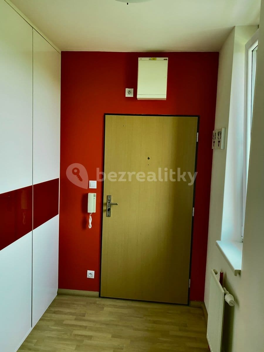 1 bedroom with open-plan kitchen flat to rent, 64 m², Svitákova, Prague, Prague