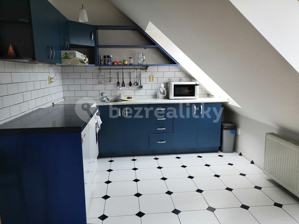 1 bedroom with open-plan kitchen flat to rent, 53 m², Toužimská, Prague, Prague