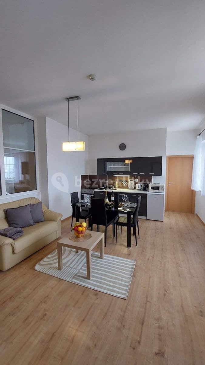 1 bedroom with open-plan kitchen flat to rent, 60 m², Tábor, Jihočeský Region