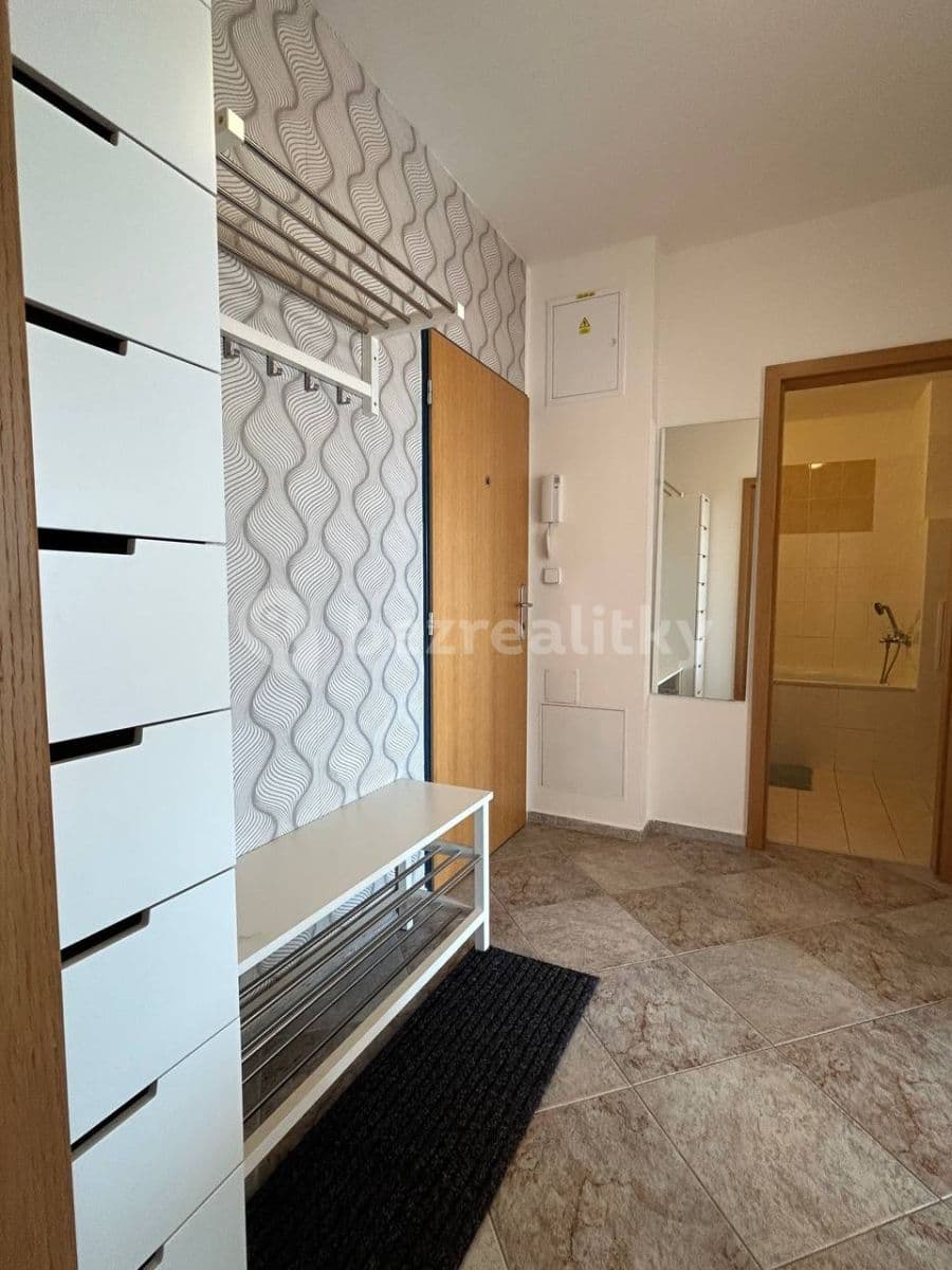 1 bedroom with open-plan kitchen flat to rent, 68 m², Petržílkova, Prague, Prague
