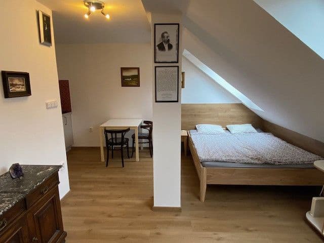 flat to rent, 25 m², Heydukova, Prague, Prague