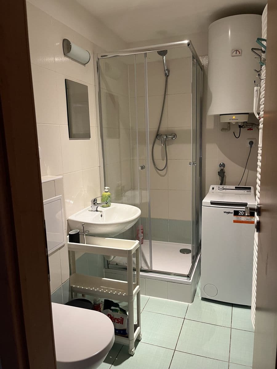 flat to rent, 25 m², Heydukova, Prague, Prague