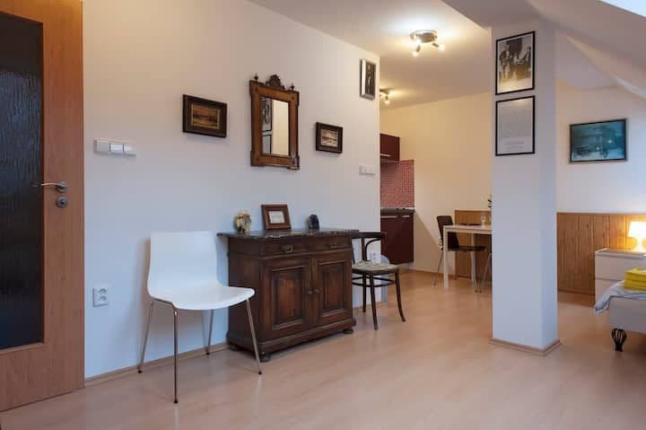 flat to rent, 25 m², Heydukova, Prague, Prague