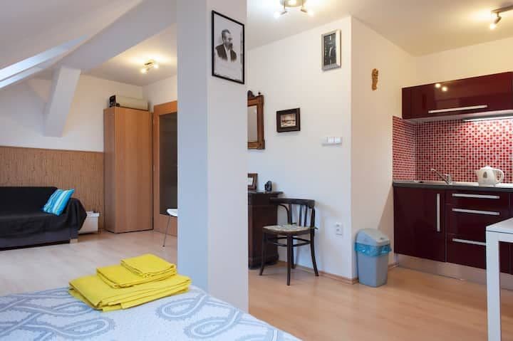 flat to rent, 25 m², Heydukova, Prague, Prague