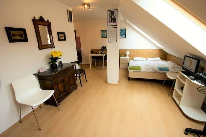 flat to rent, 25 m², Heydukova, Prague, Prague