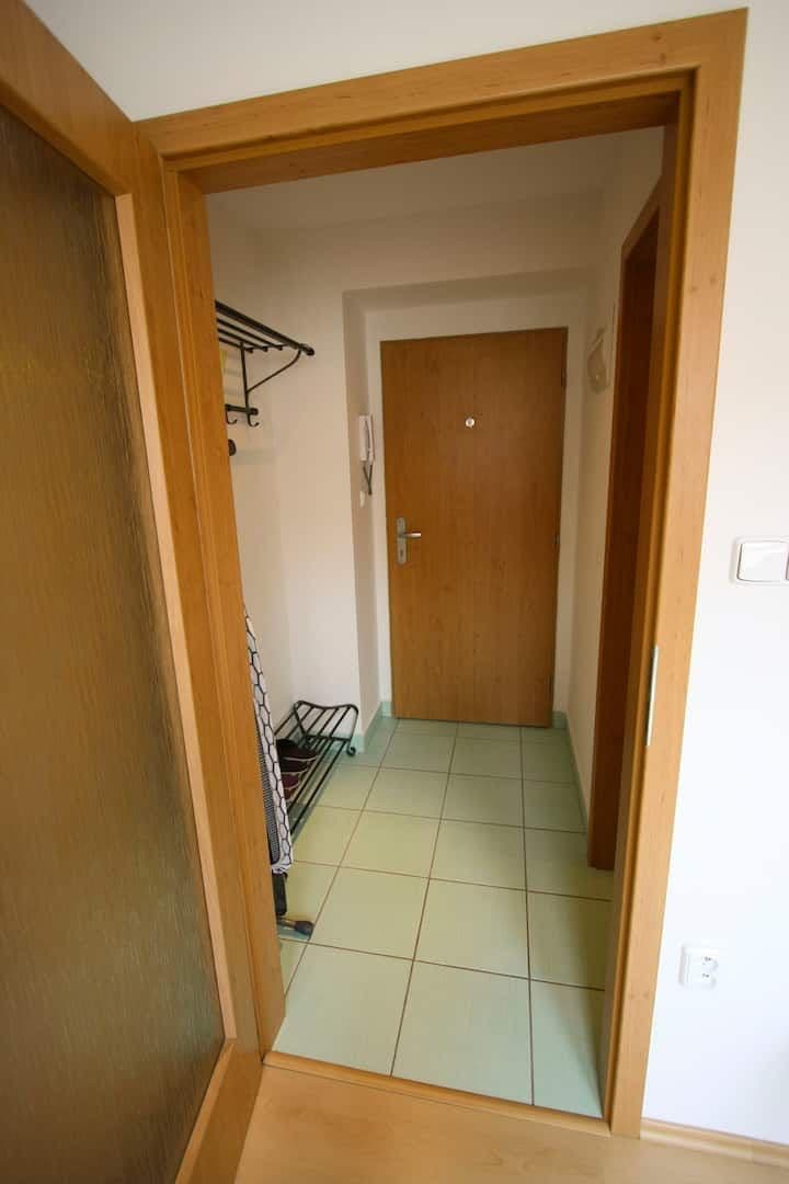 flat to rent, 25 m², Heydukova, Prague, Prague