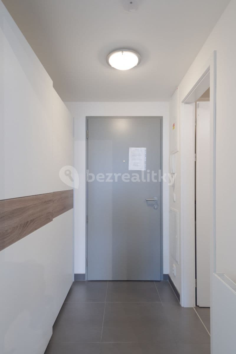 flat to rent, 35 m², Koněvova, Prague, Prague