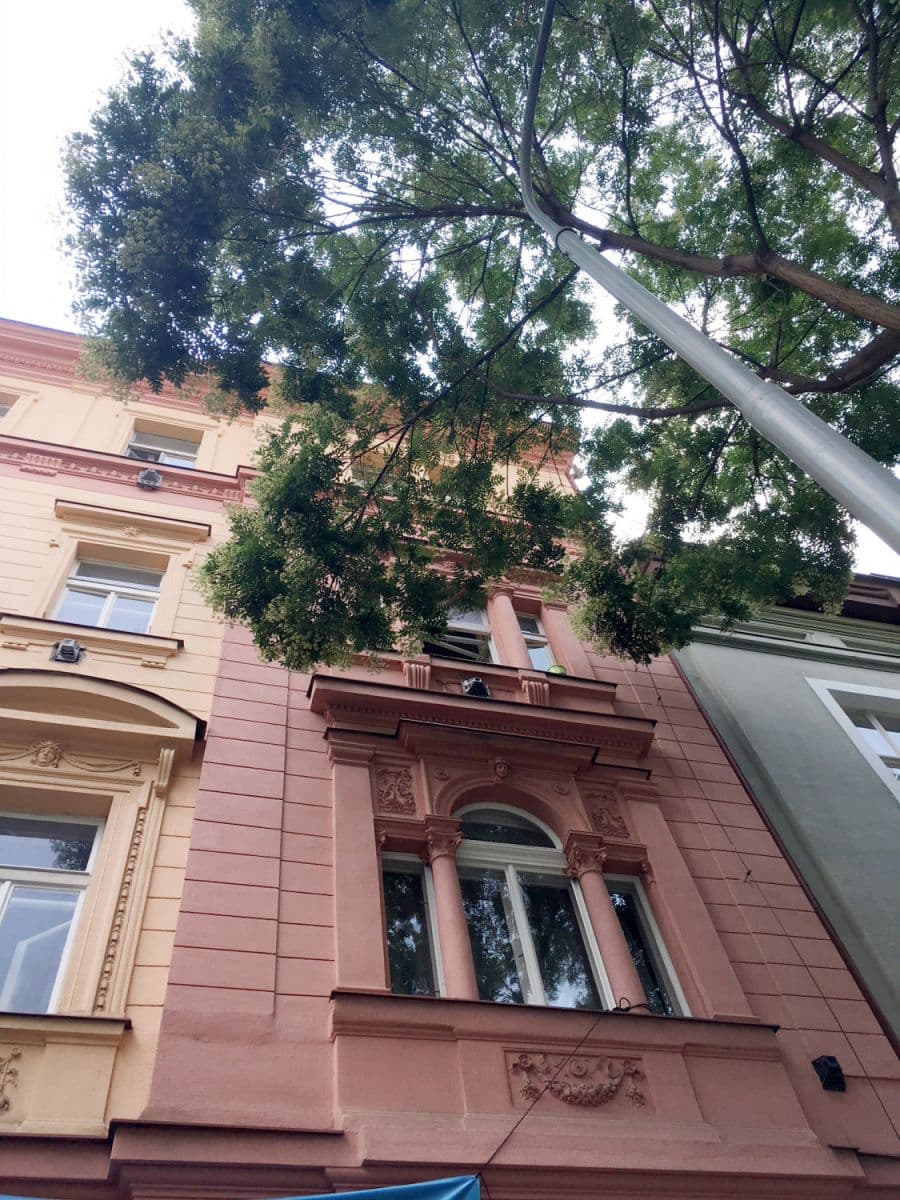 flat to rent, 33 m², Pernerova, Prague, Prague