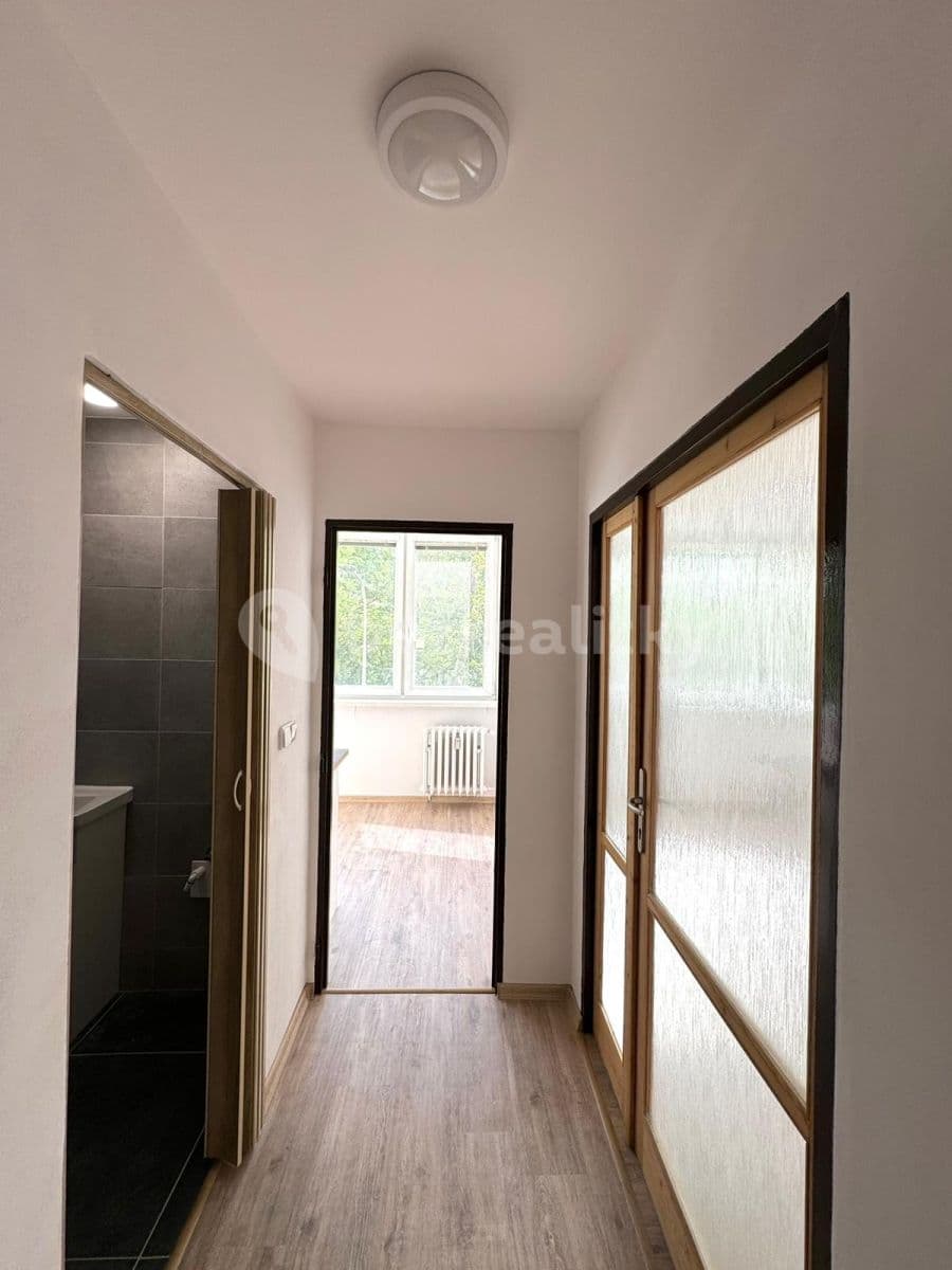 1 bedroom flat to rent, 36 m², Dělnická, Kolín, Středočeský Region