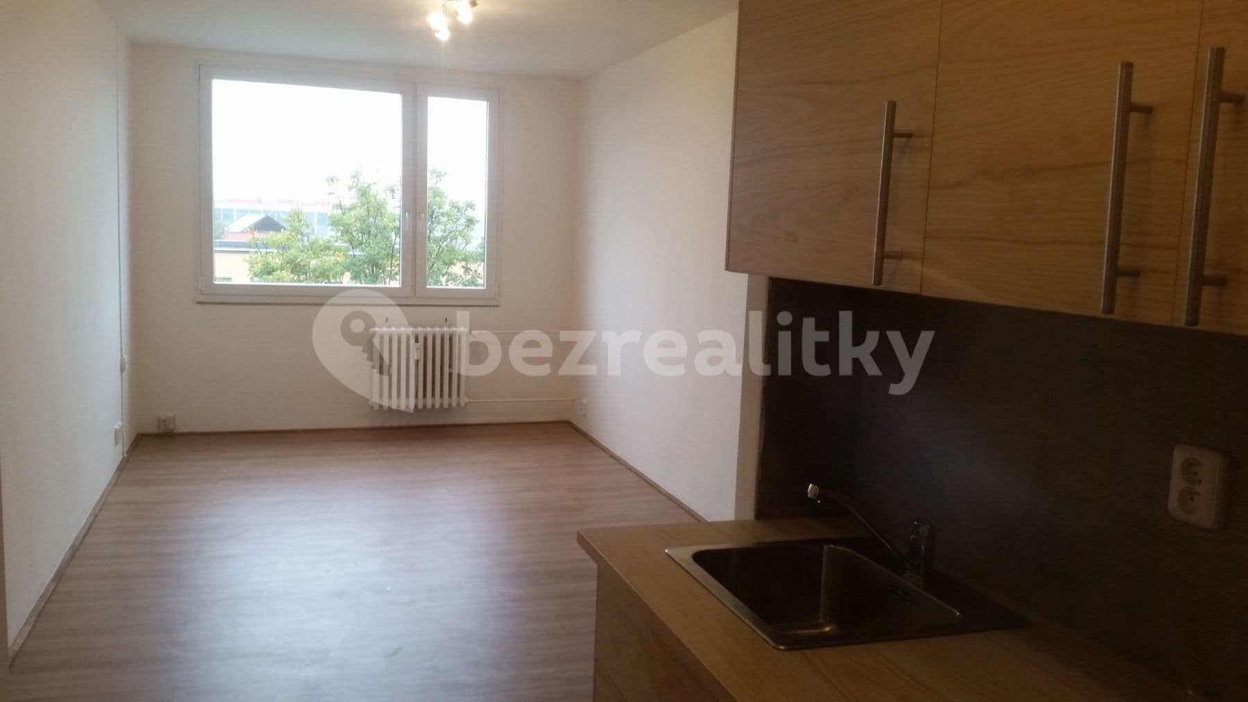 1 bedroom with open-plan kitchen flat to rent, 46 m², Štichova, Prague, Prague