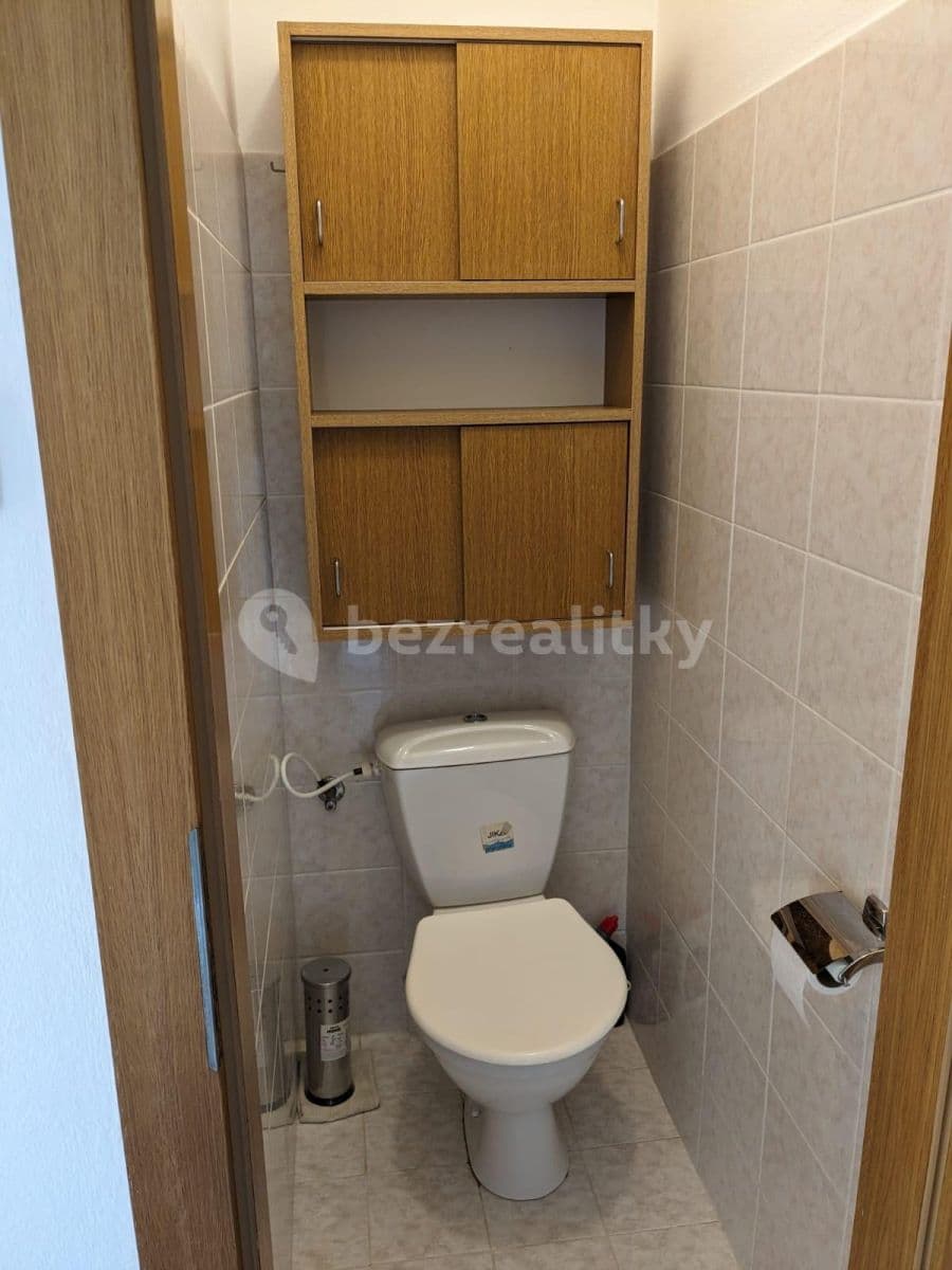 1 bedroom with open-plan kitchen flat to rent, 55 m², Na Labišti, Pardubice, Pardubický Region