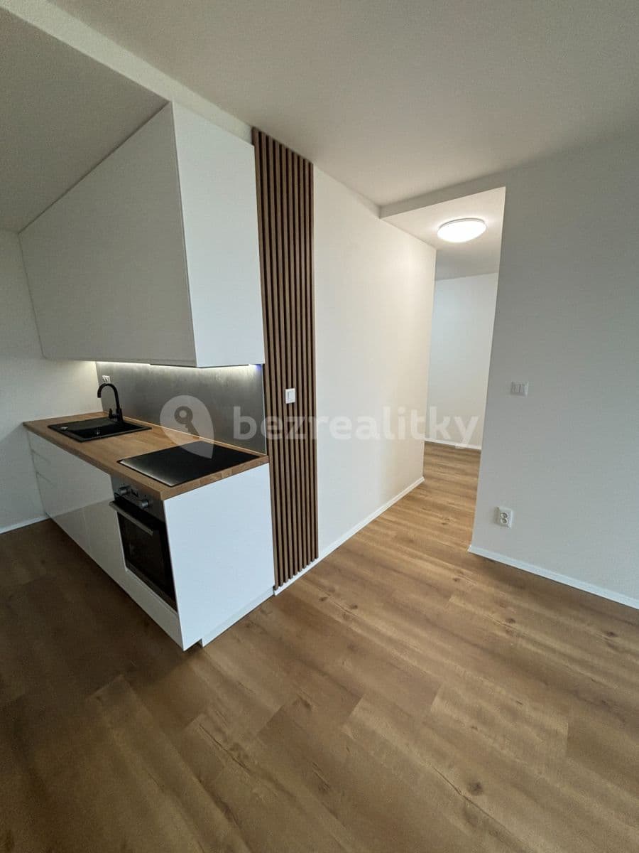 1 bedroom with open-plan kitchen flat to rent, 45 m², Vysočanská, Prague, Prague