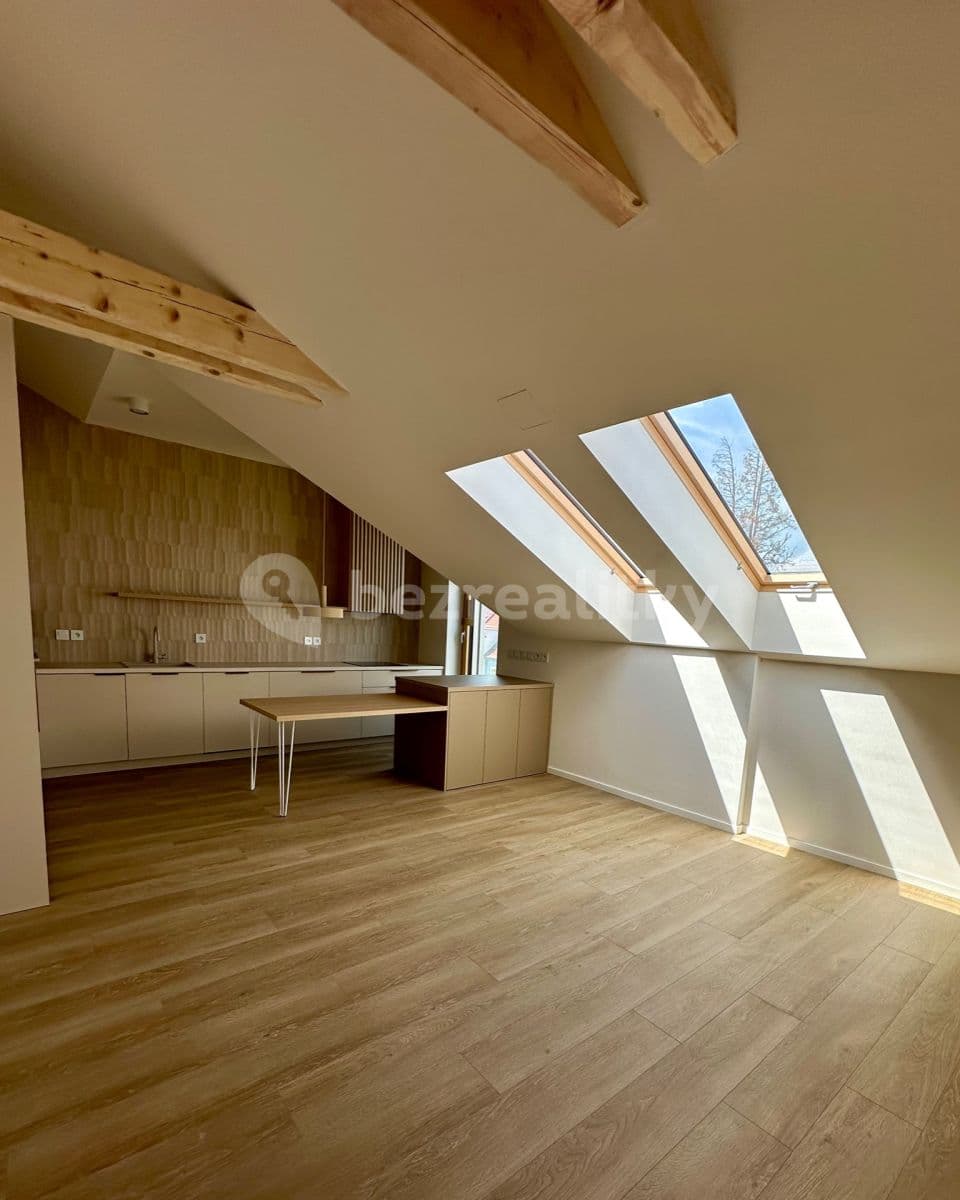 1 bedroom with open-plan kitchen flat to rent, 67 m², Šmejkalova, Brno, Jihomoravský Region