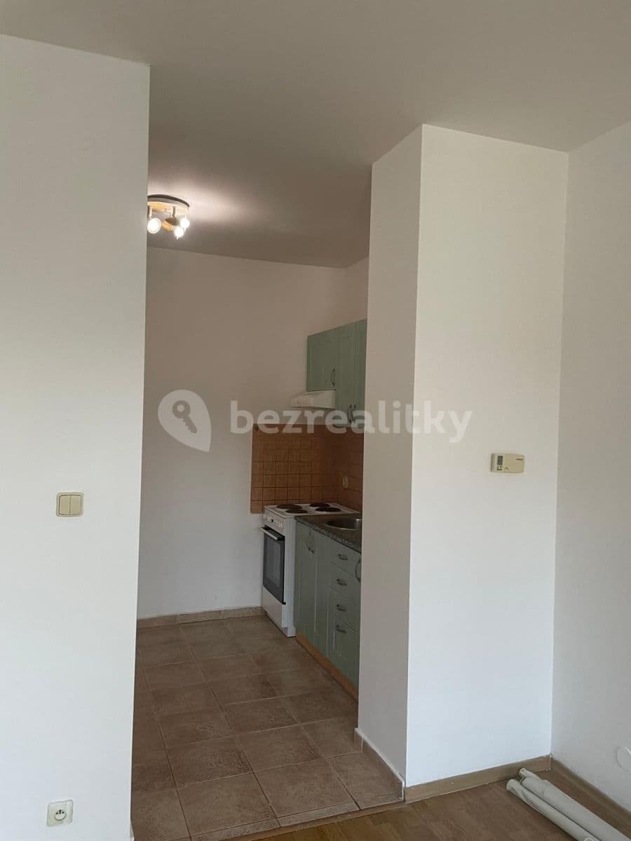 1 bedroom with open-plan kitchen flat to rent, 54 m², Zemská, Teplice, Ústecký Region